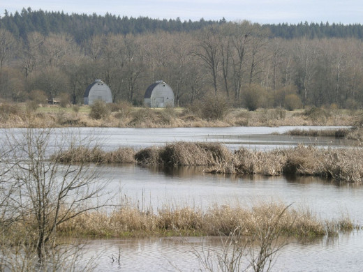 434176 (a): :2068x1550